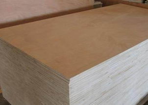 奧古曼膠合板 打造卓越“駱駝”地板的堅實基材